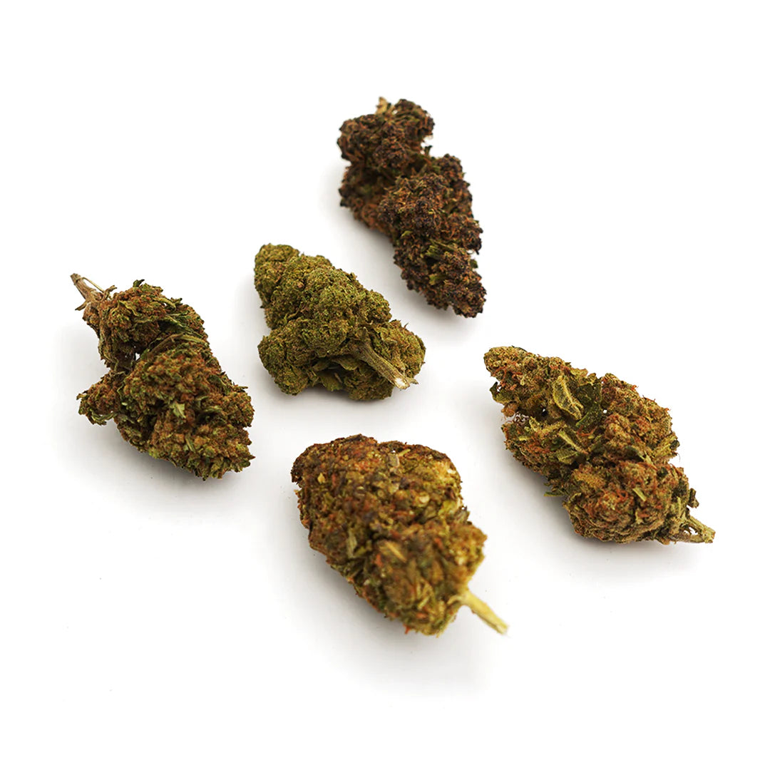 Flower Discovery Pack, wholesale cbd flowers by Kilo-Gram
